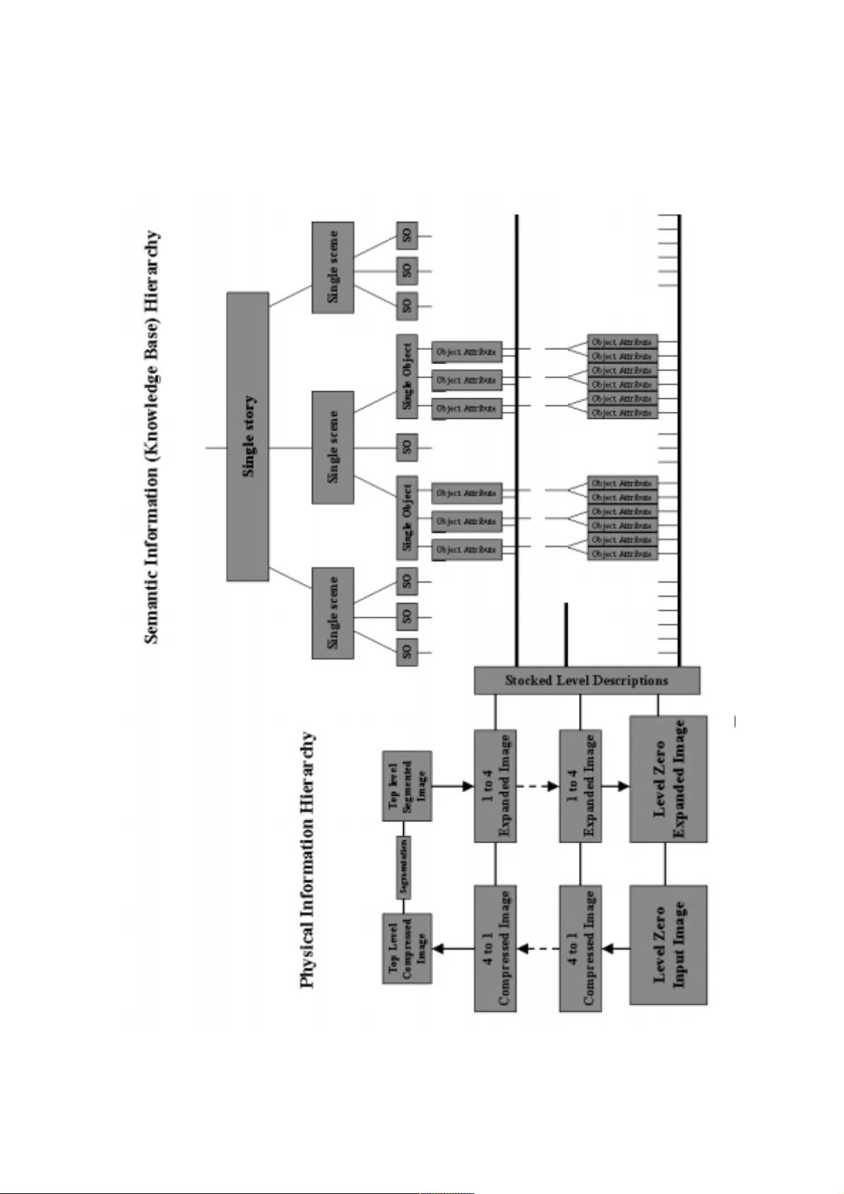 Unveiling the mystery of visual information processing in human brain