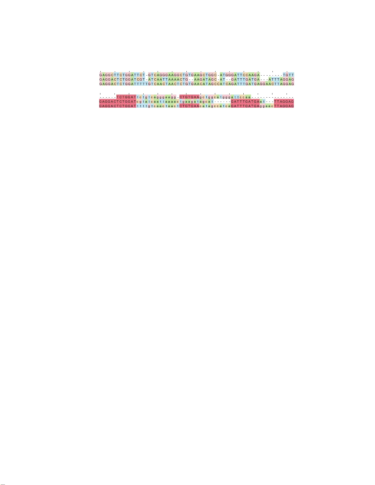 An Ant-Based Model for Multiple Sequence Alignment