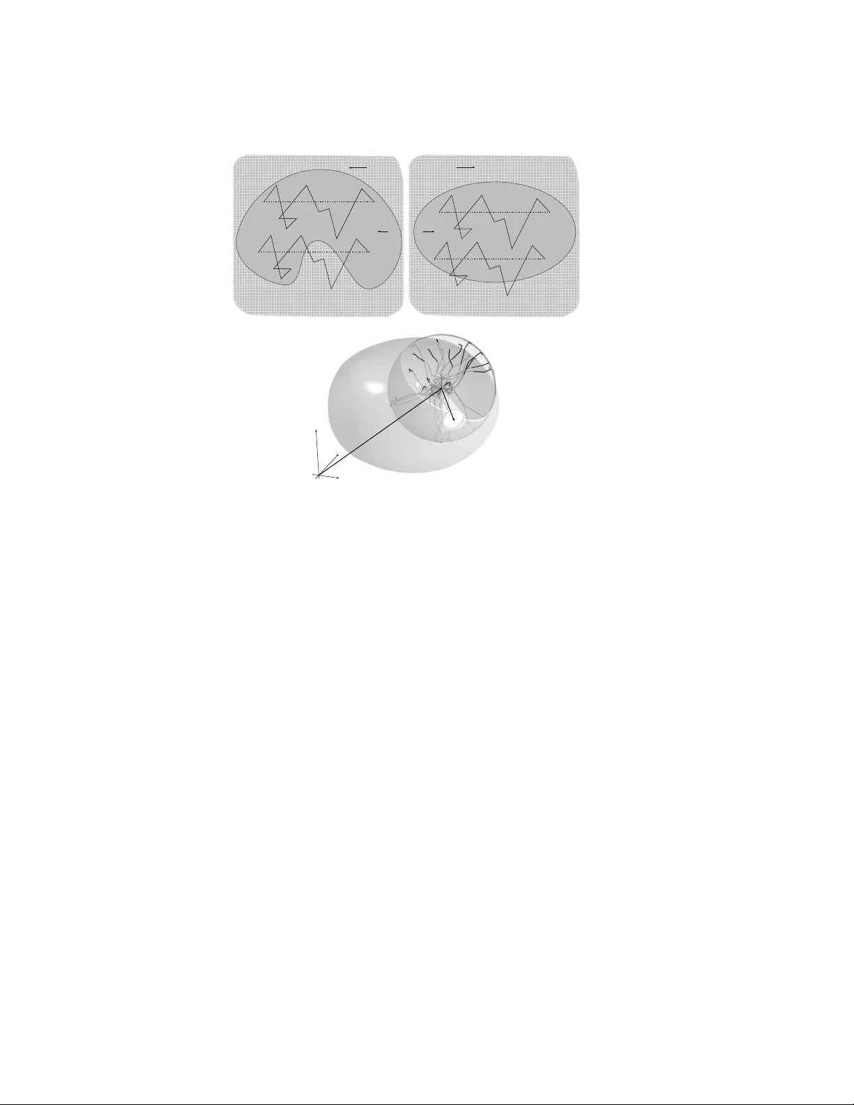 Signed Chord Length Distribution. I