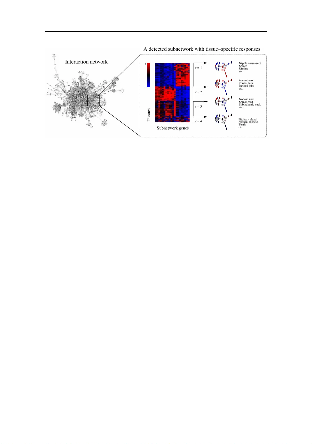 Probabilistic analysis of the human transcriptome with side information