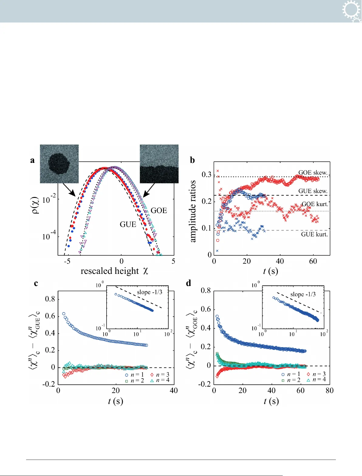 Growing interfaces uncover universal fluctuations behind scale   invariance