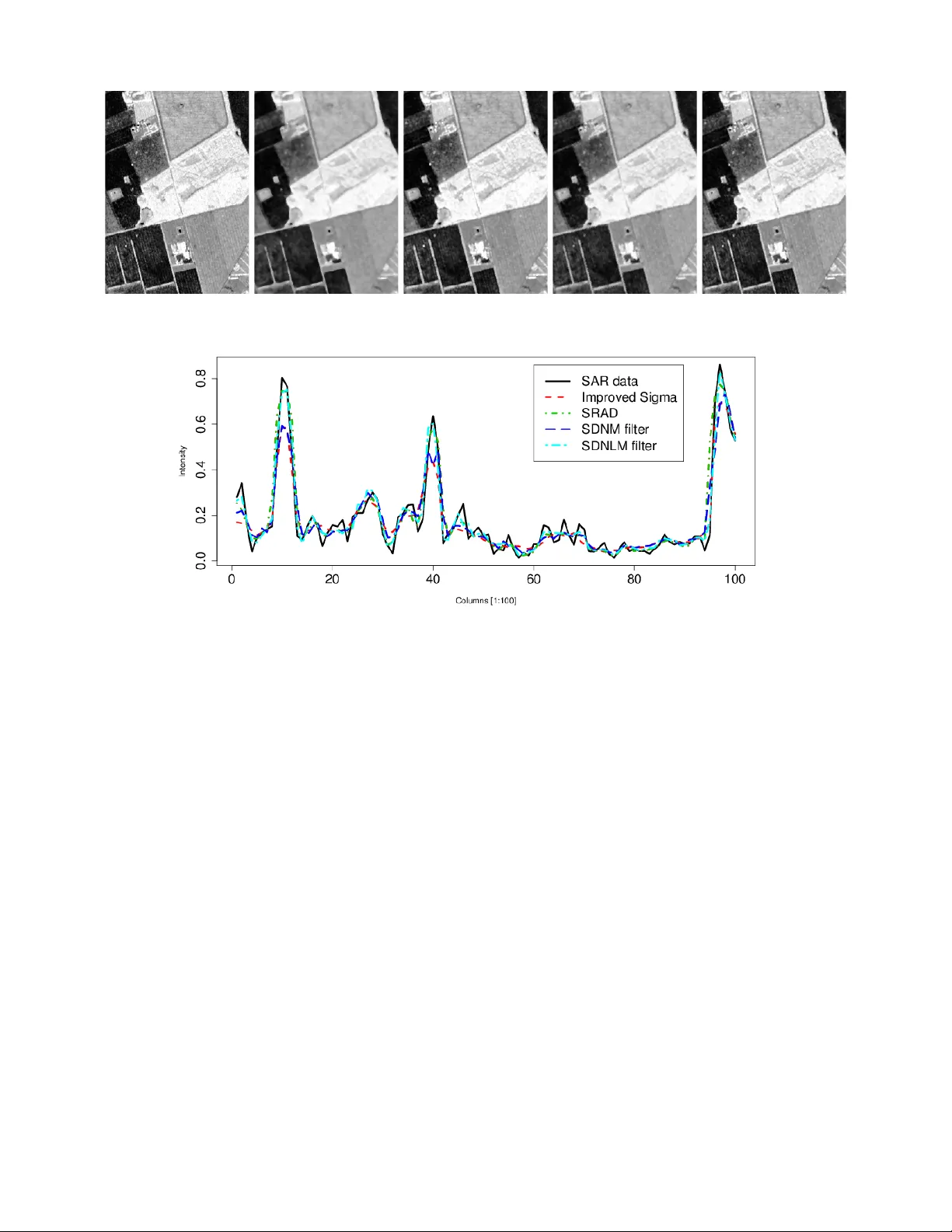 SAR Image Despeckling Algorithms using Stochastic Distances and Nonlocal   Means