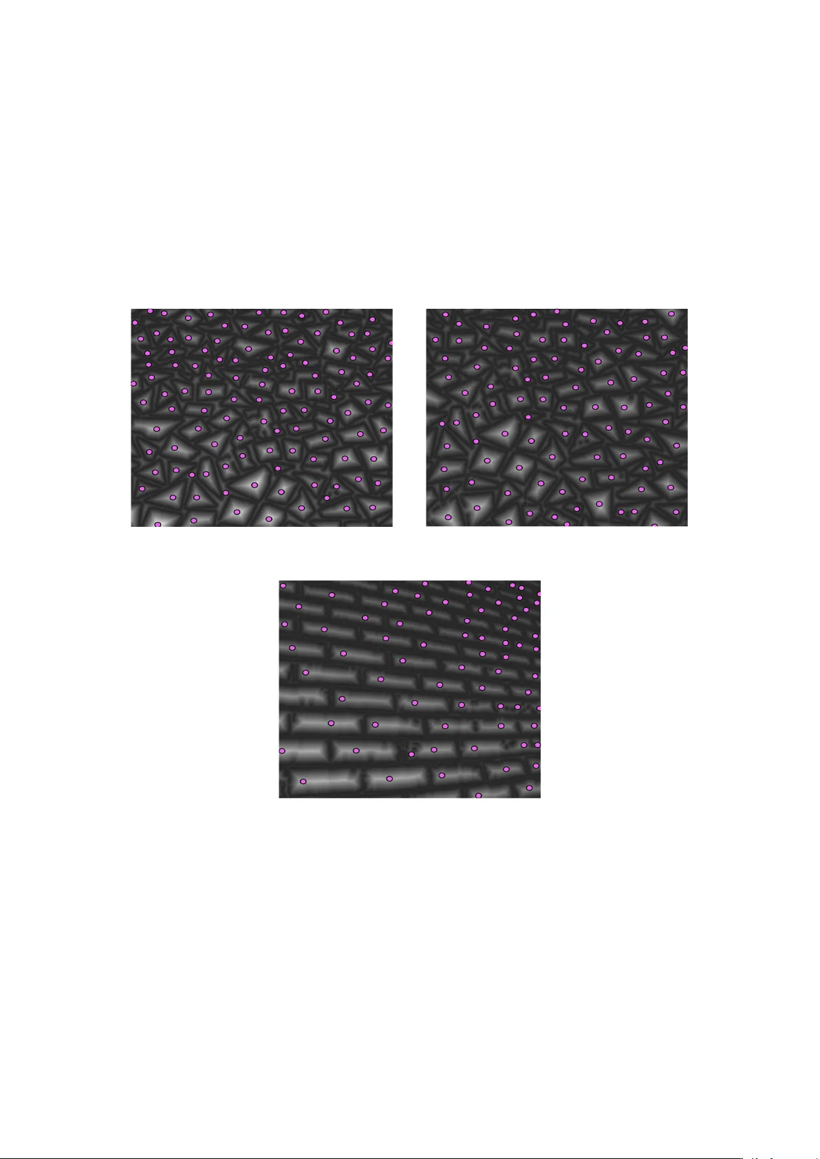 Shape from Texture using Locally Scaled Point Processes