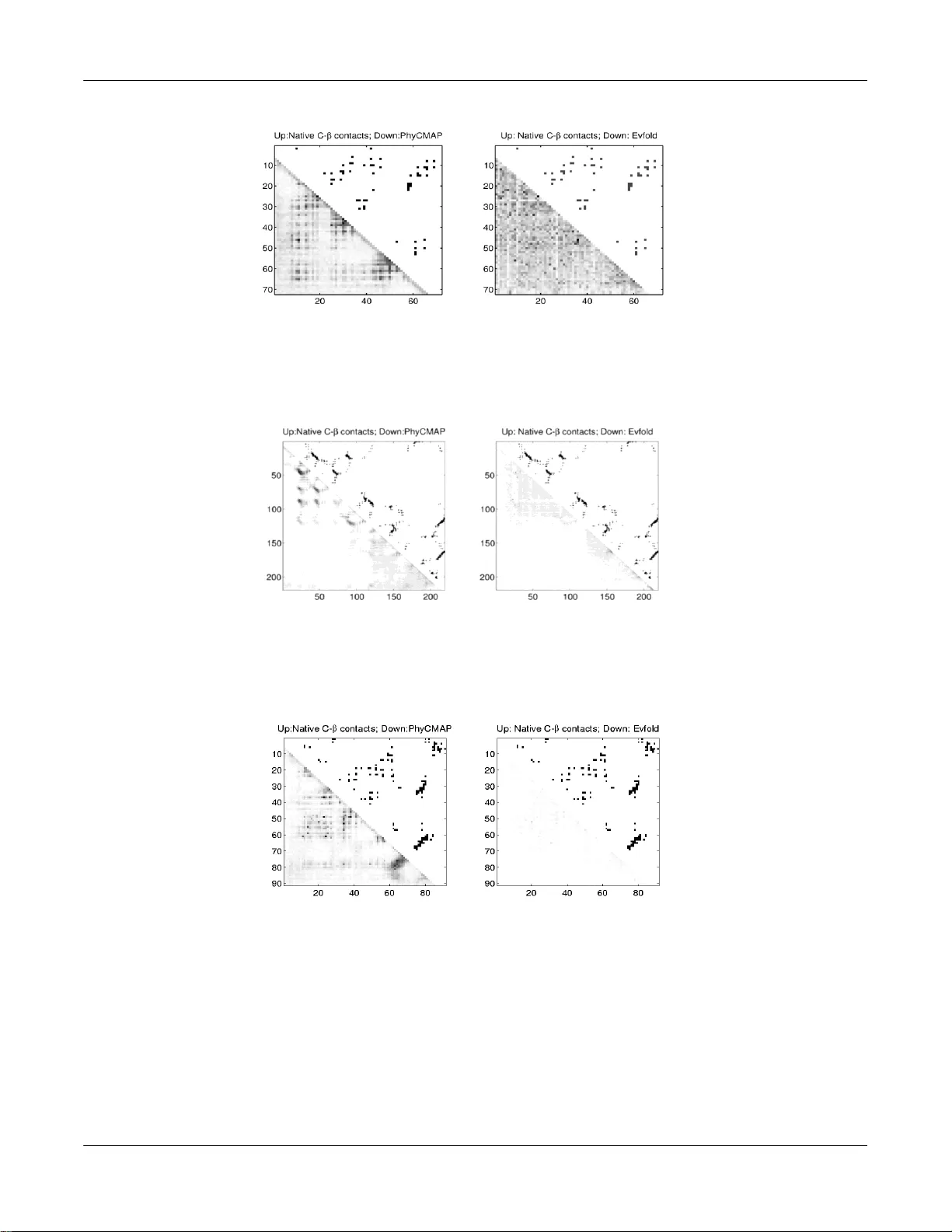Predicting protein contact map using evolutionary and physical   constraints by integer programming (extended version)