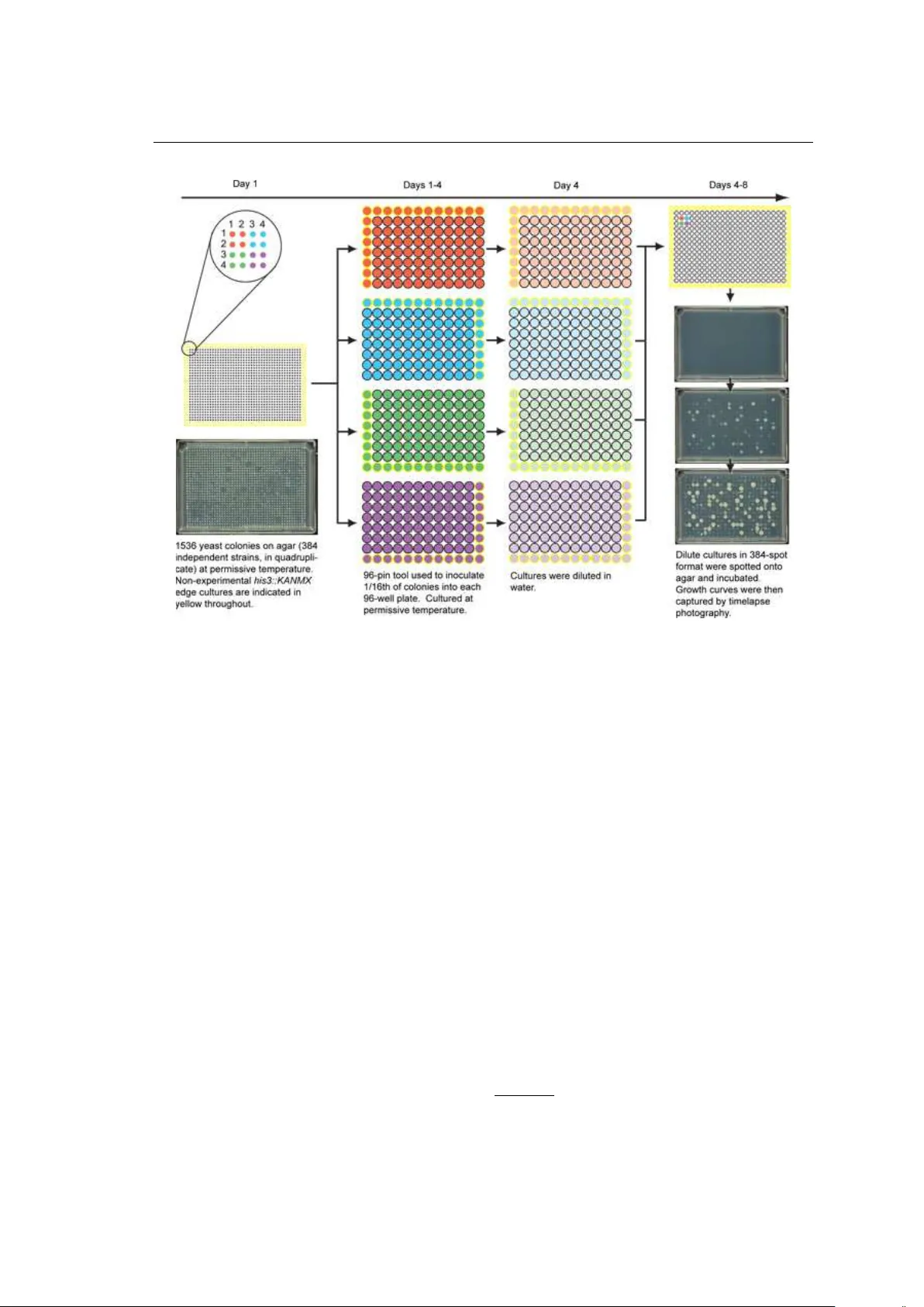 Bayesian hierarchical modelling for inferring genetic interactions in   yeast
