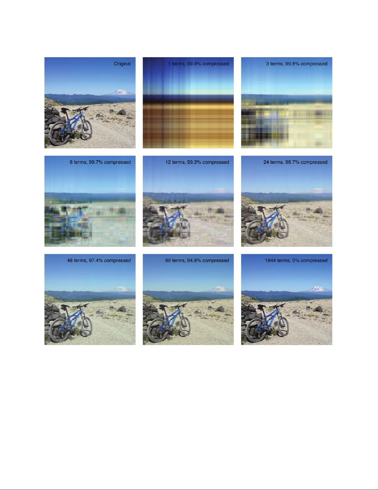 A Singular Value Decomposition-based Factorization and Parsimonious   Component Model of Demographic Quantities Correlated by Age: Predicting   Complete Demographic Age Schedules with Few Parameters