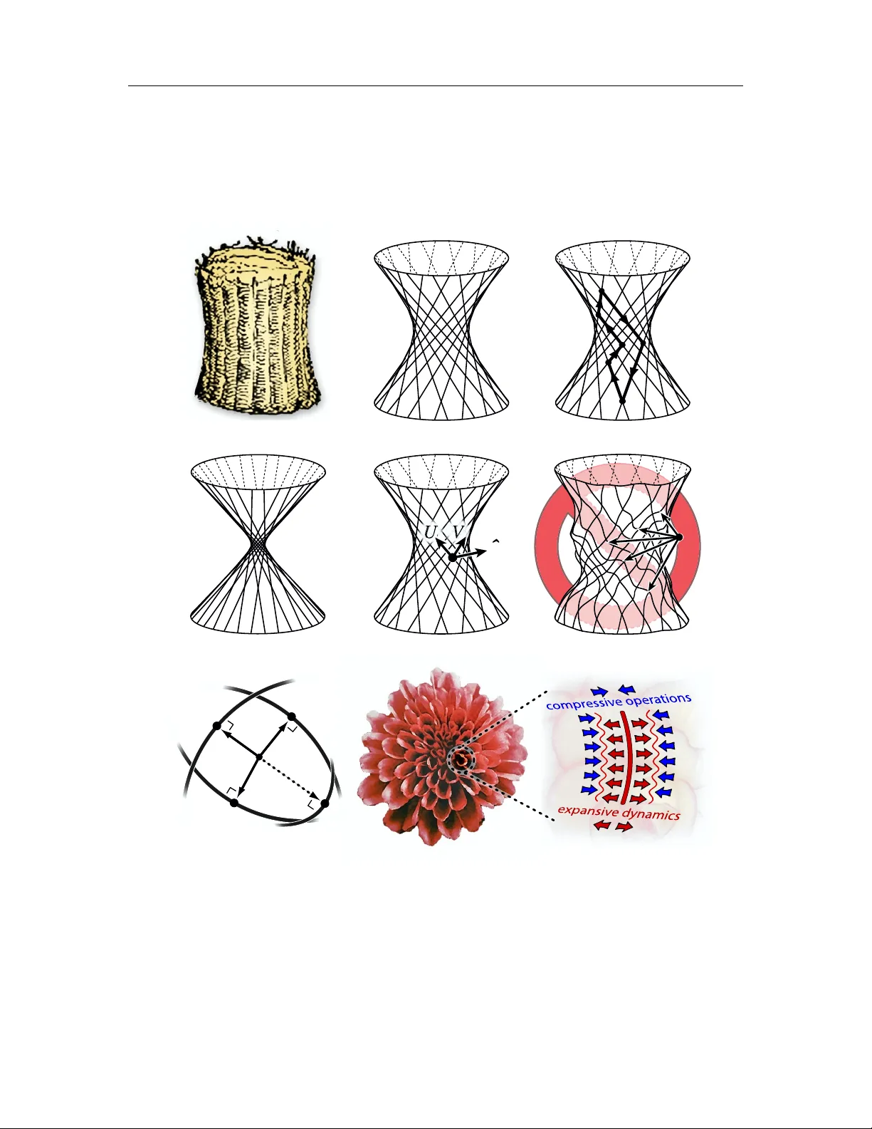 Practical recipes for the model order reduction, dynamical simulation,   and compressive sampling of large-scale open quantum systems