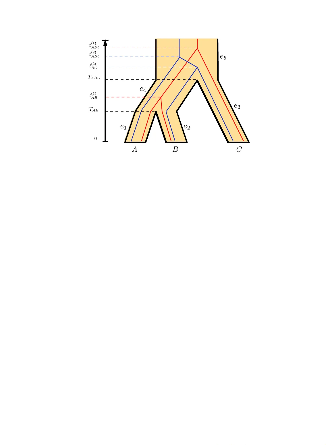 Data Requirement for Phylogenetic Inference from Multiple Loci: A New   Distance Method