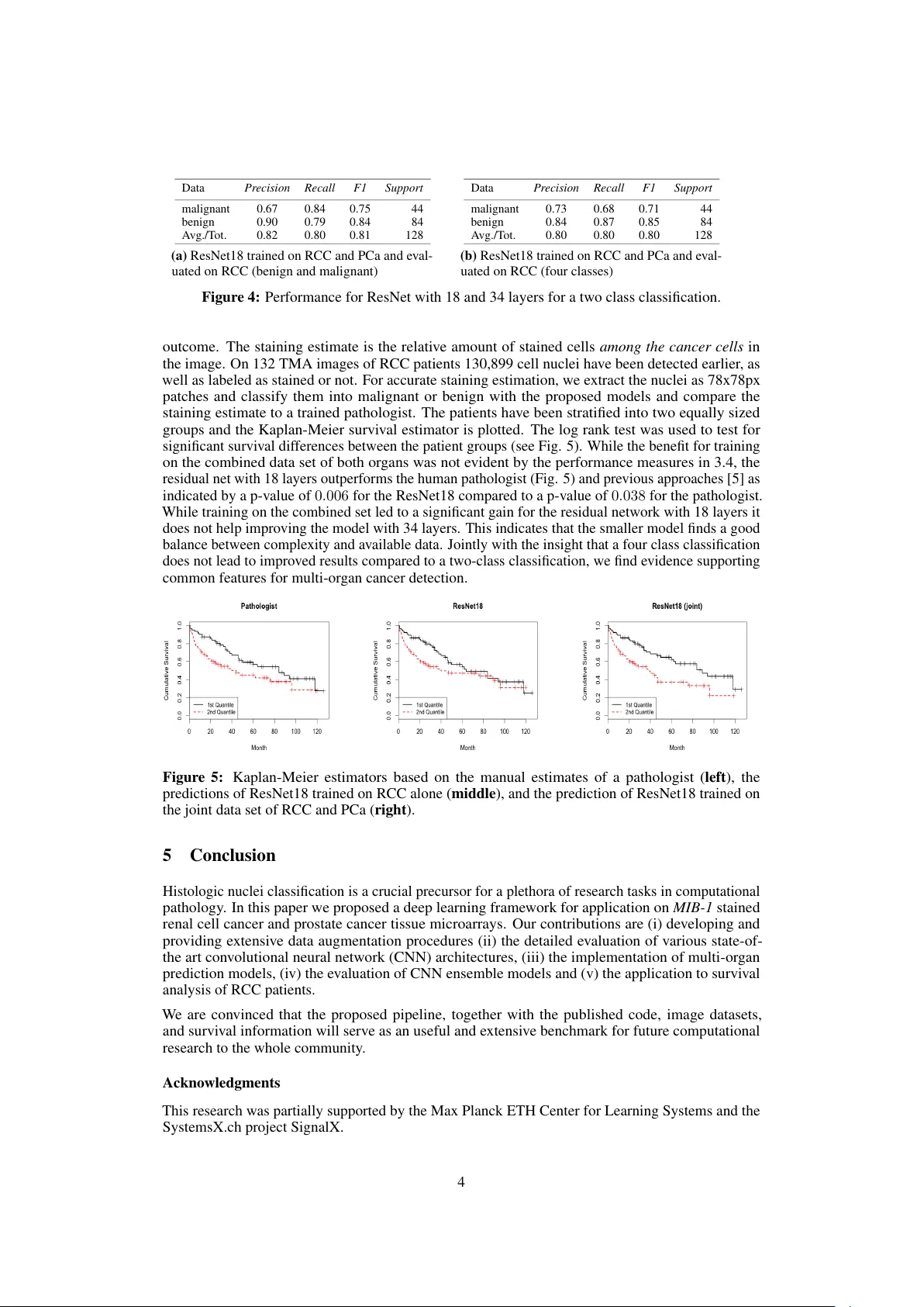 Multi-Organ Cancer Classification and Survival Analysis