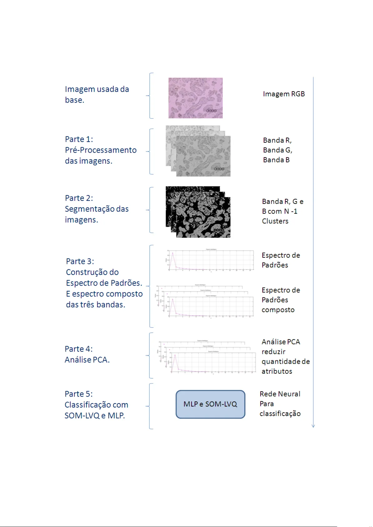 Triagem virtual de imagens de imuno-histoquimica usando redes neurais   artificiais e espectro de padr~oes