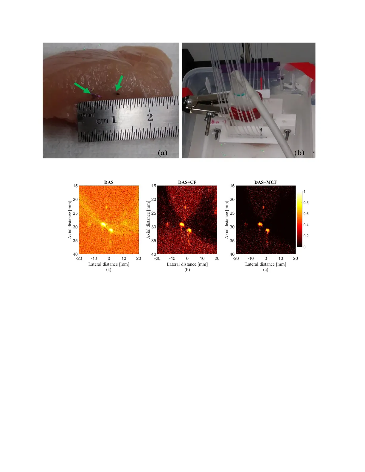 Enhanced Linear-array Photoacoustic Beamforming using Modified Coherence   Factor