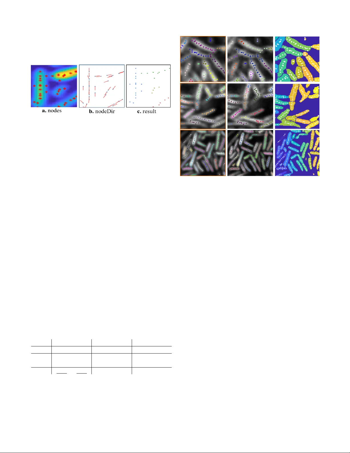 LCuts: Linear Clustering of Bacteria using Recursive Graph Cuts