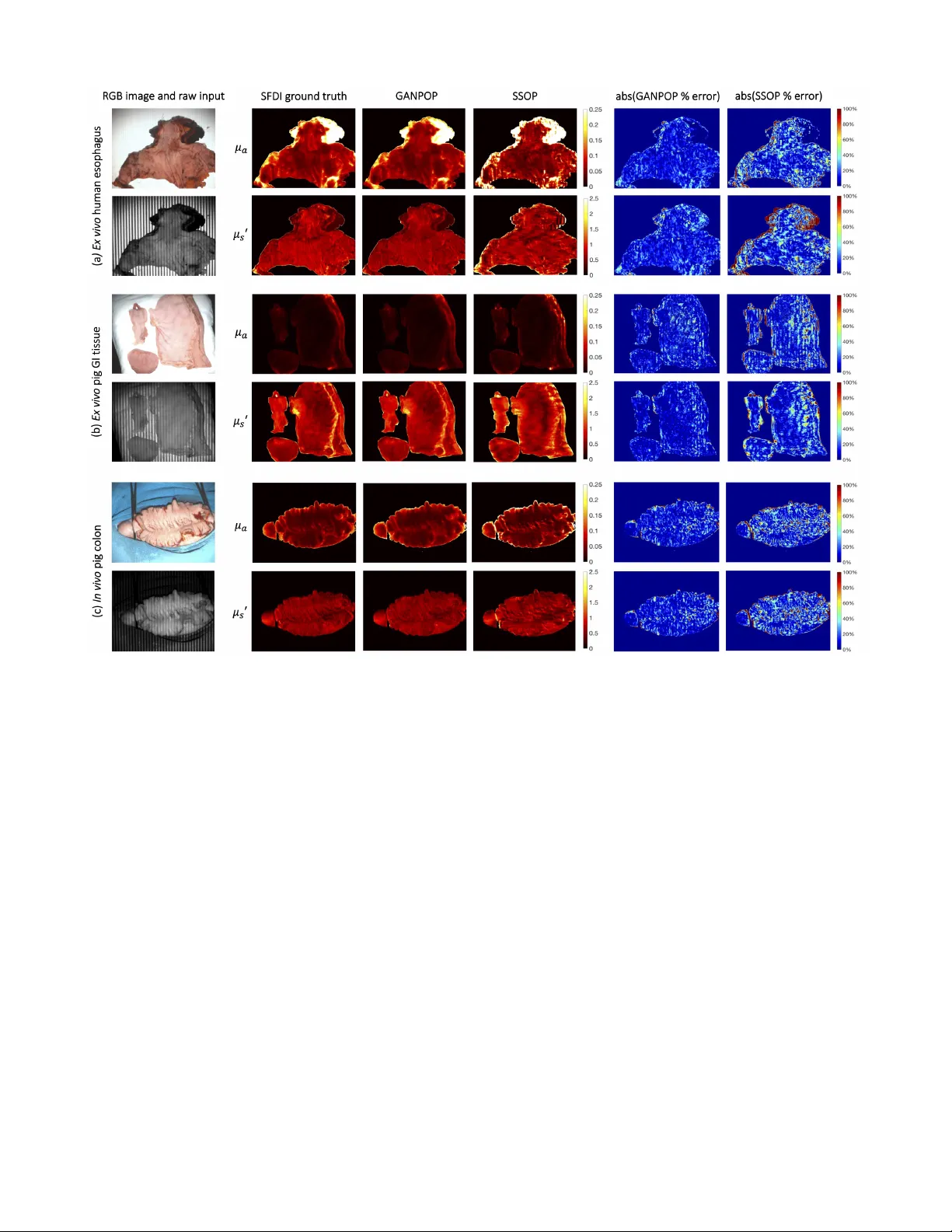 GANPOP: Generative Adversarial Network Prediction of Optical Properties   from Single Snapshot Wide-field Images