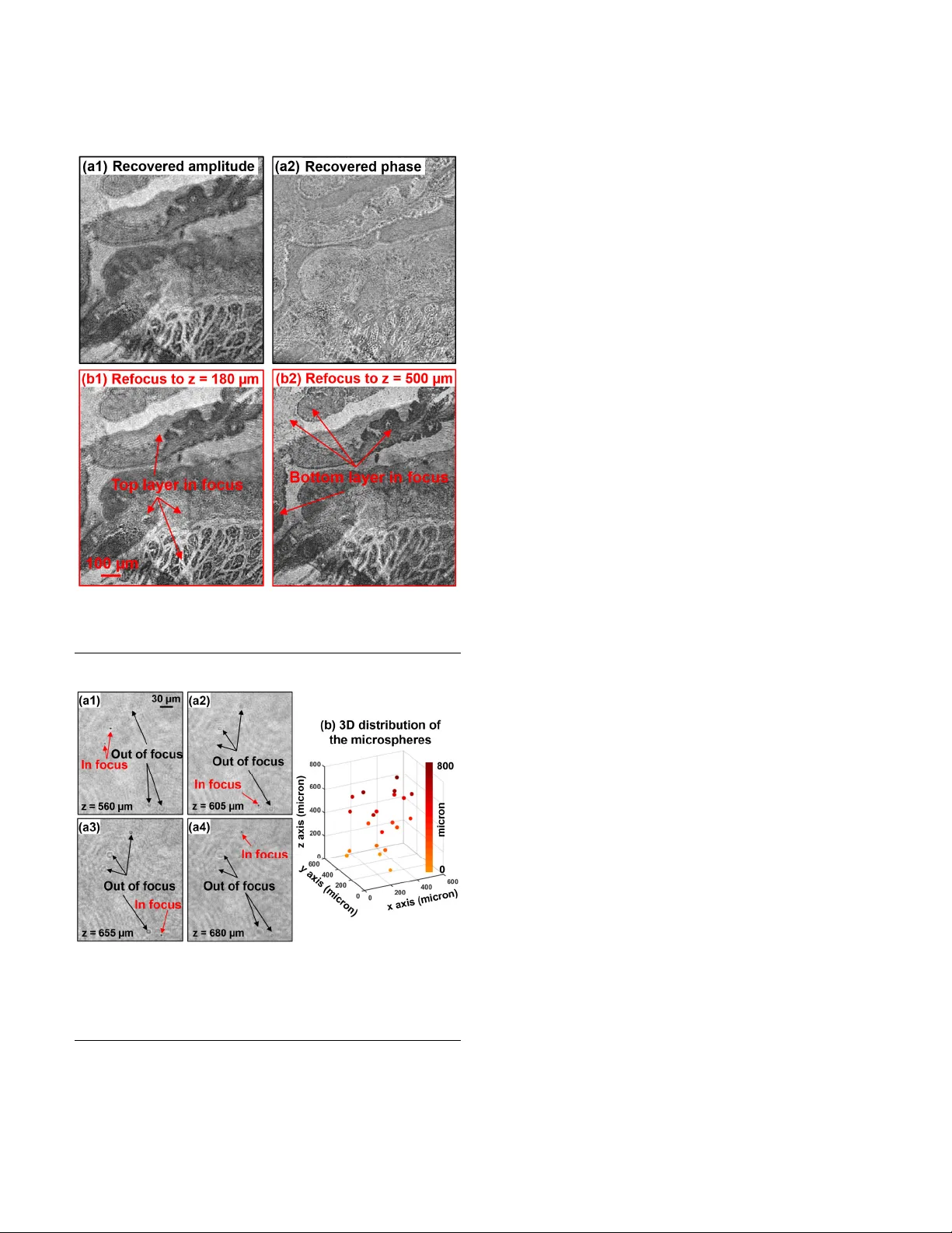 Super-resolution microscopy via ptychographic structured modulation of a   diffuser