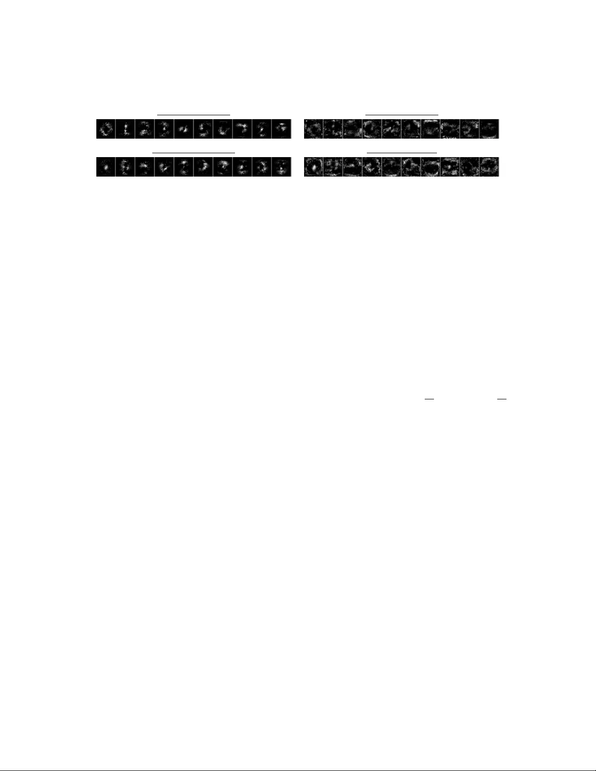 Shapley Interpretation and Activation in Neural Networks