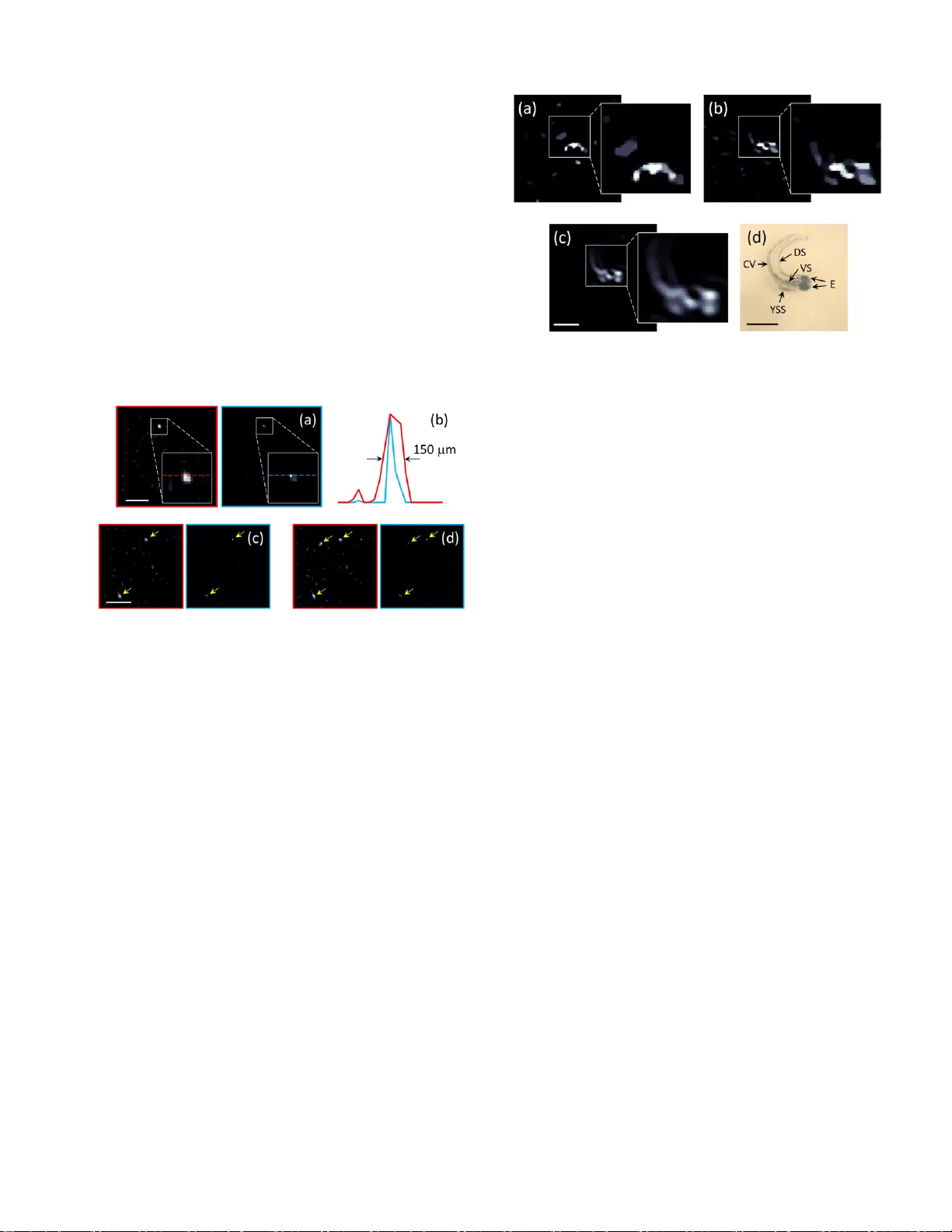 Acoustic scattering mediated single detector optoacoustic tomography