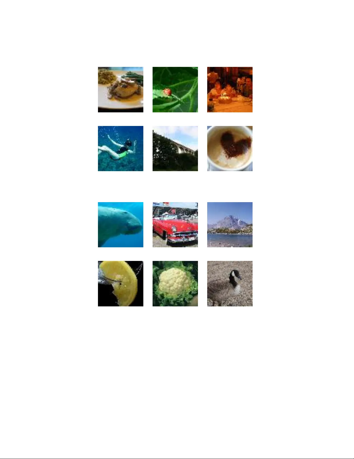 DeepMimic: Mentor-Student Unlabeled Data Based Training