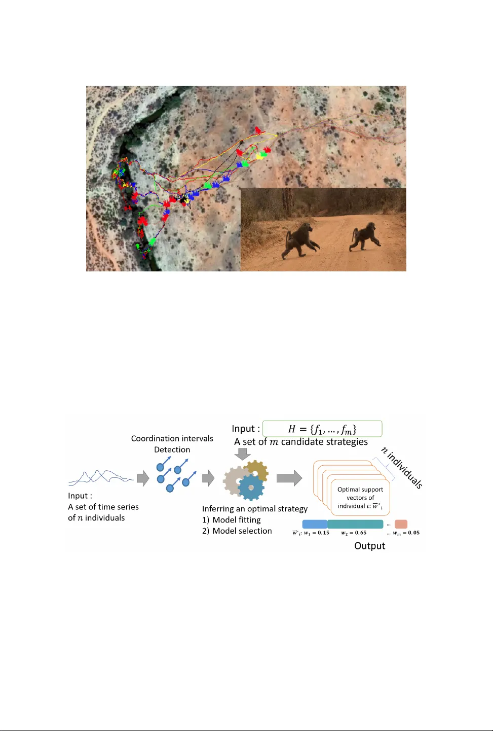 Framework for Inferring Following Strategies from Time Series of   Movement Data