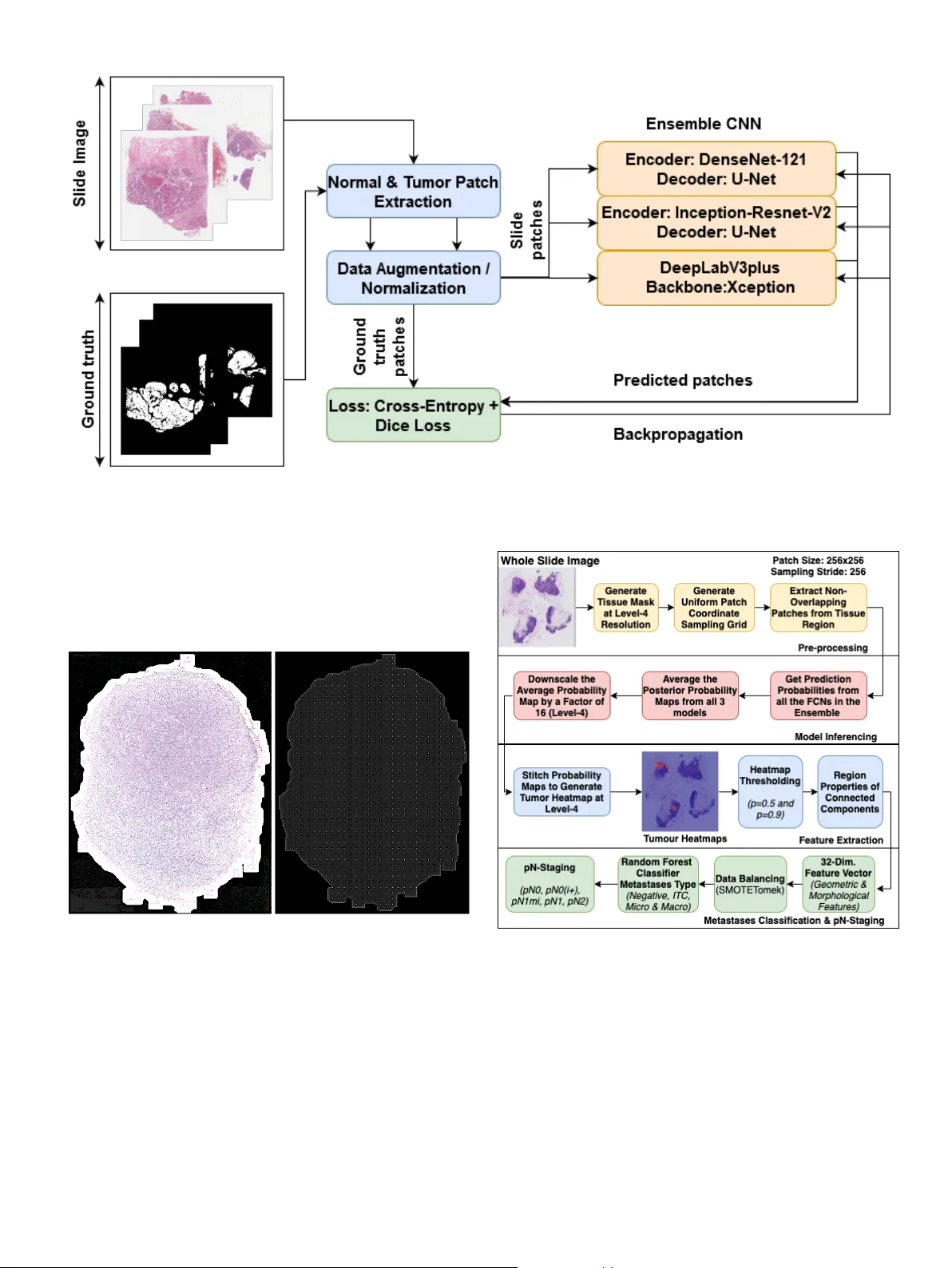 A Generalized Deep Learning Framework for Whole-Slide Image Segmentation   and Analysis