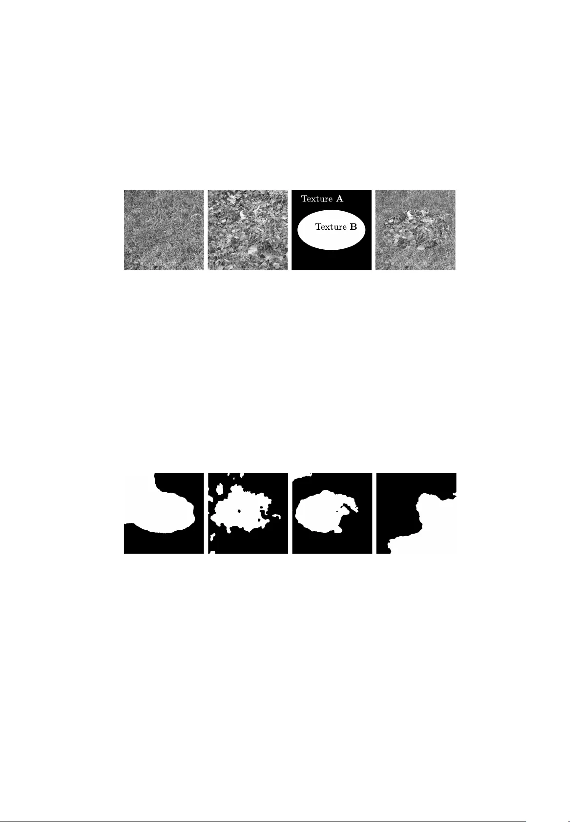 Strongly Convex Optimization for Joint Fractal Feature Estimation and   Texture Segmentation