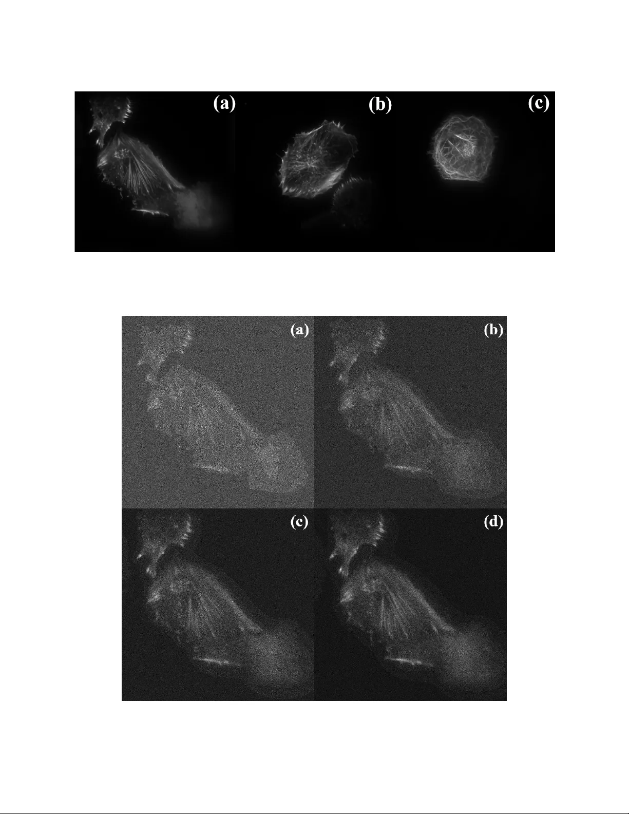 Image Restoration by Combined Order Regularization with Optimal Spatial   Adaptation
