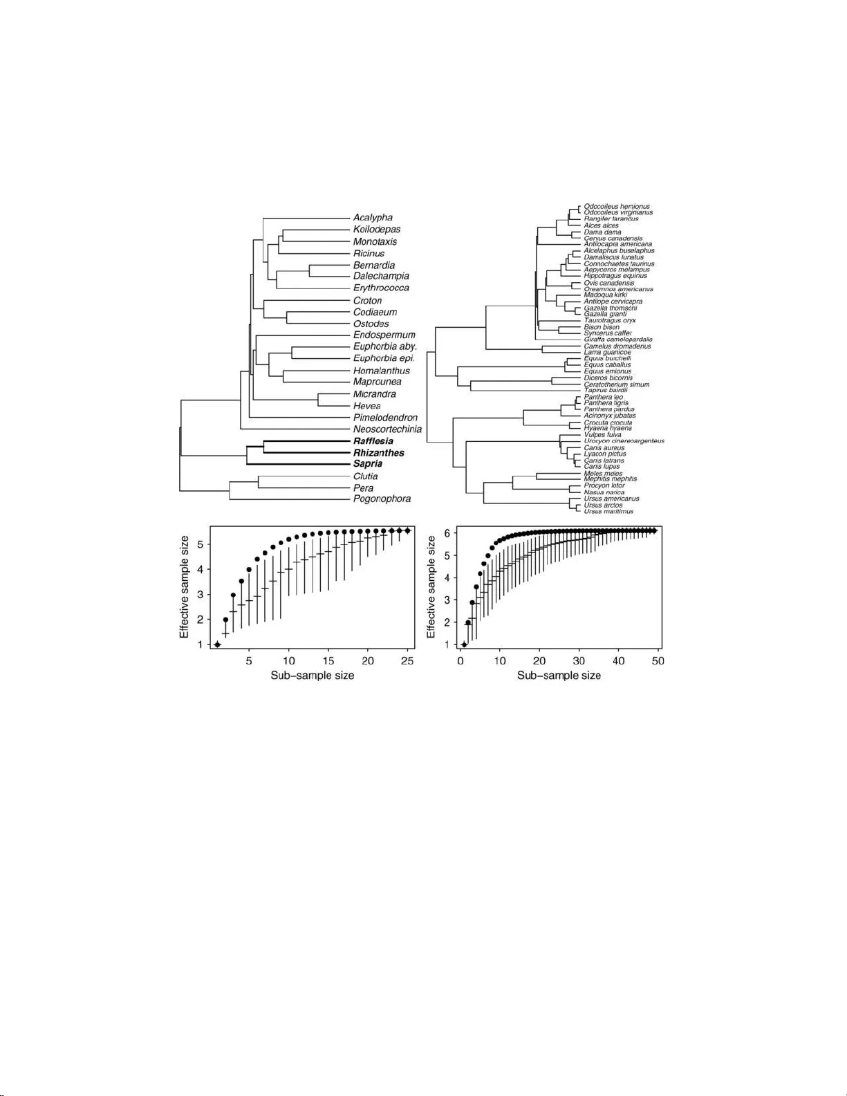 Analysis of comparative data with hierarchical autocorrelation