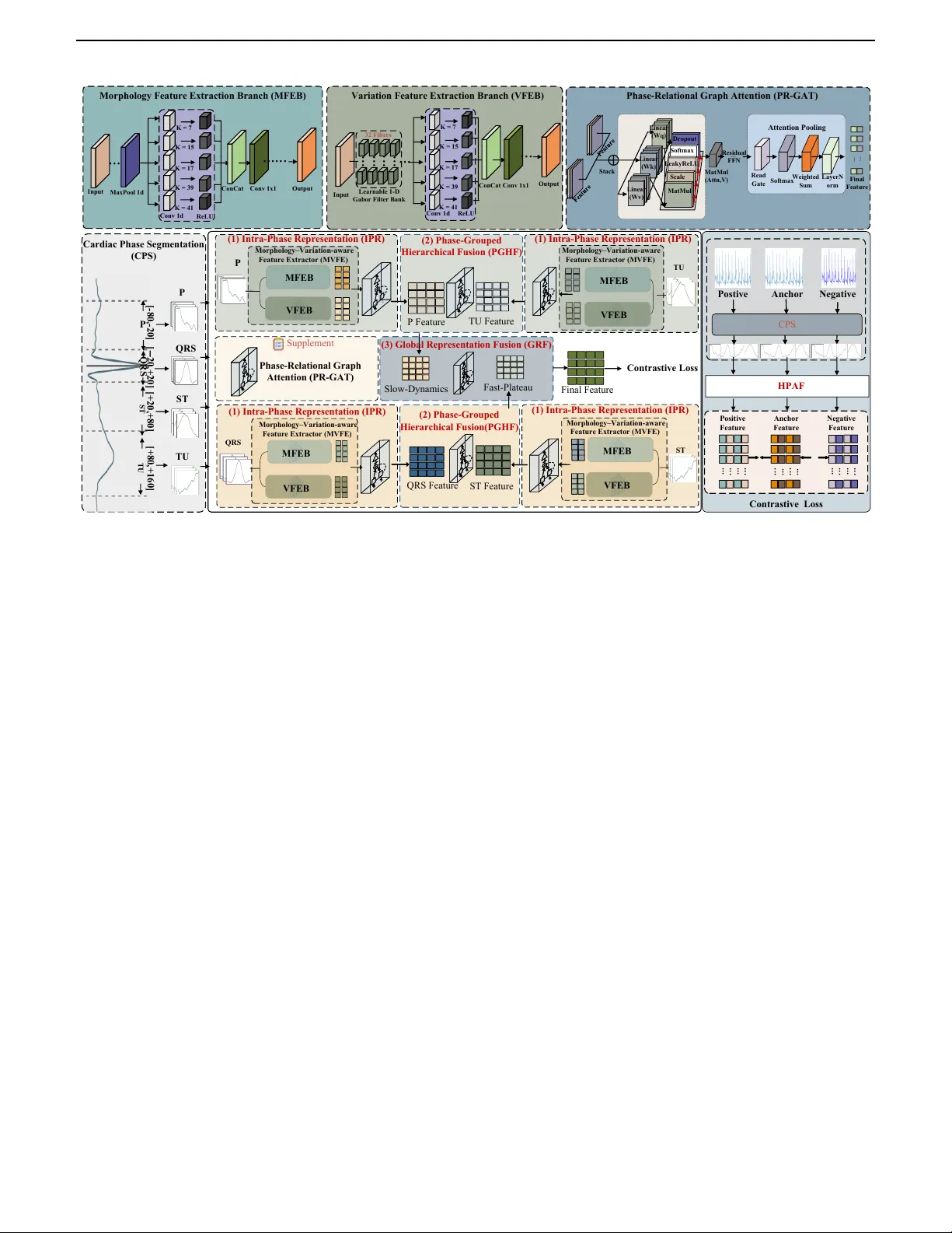 Hear the Heartbeat in Phases: Physiologically Grounded Phase-Aware ECG Biometrics