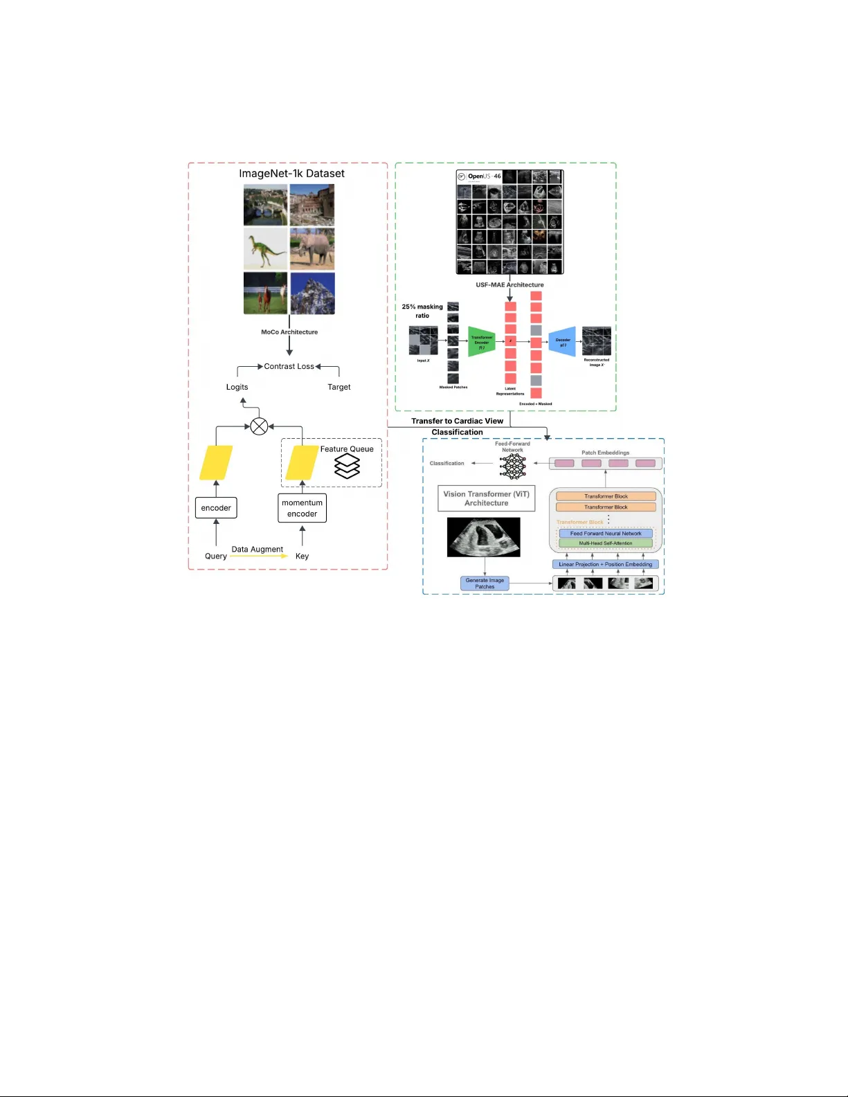 Benchmarking Self-Supervised Models for Cardiac Ultrasound View Classification