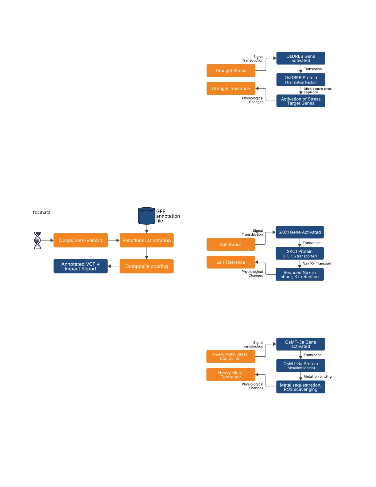 AgriVariant: Variant Effect Prediction using DeepChem-Variant for Precision Breeding in Rice