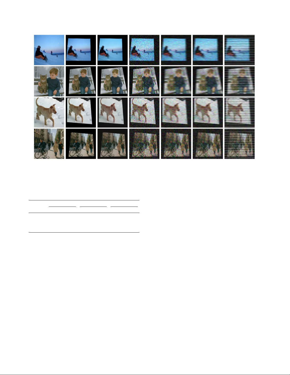 TIACam: Text-Anchored Invariant Feature Learning with Auto-Augmentation for Camera-Robust Zero-Watermarking