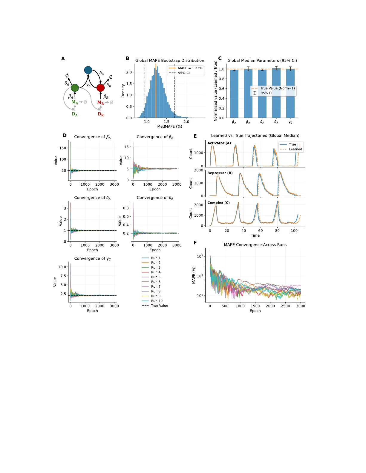 Exact Discrete Stochastic Simulation with Deep-Learning-Scale Gradient Optimization