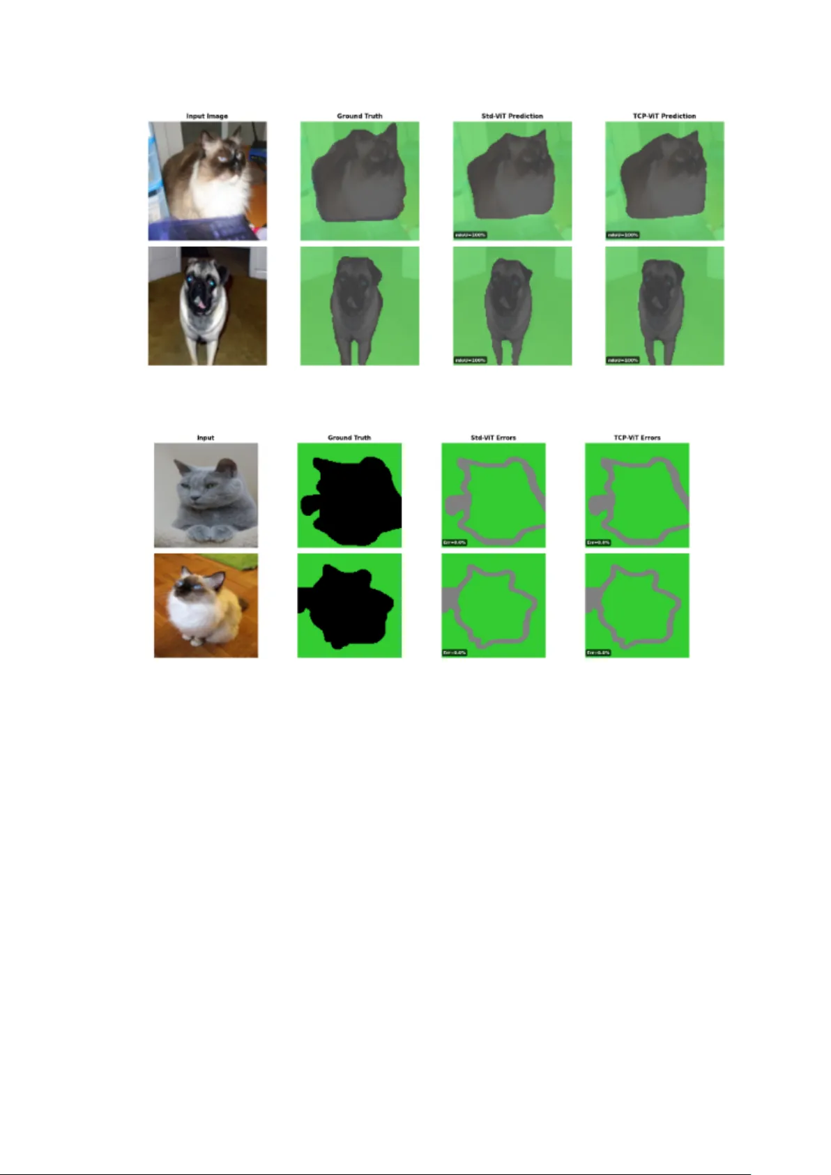 A Computationally Efficient Multidimensional Vision Transformer