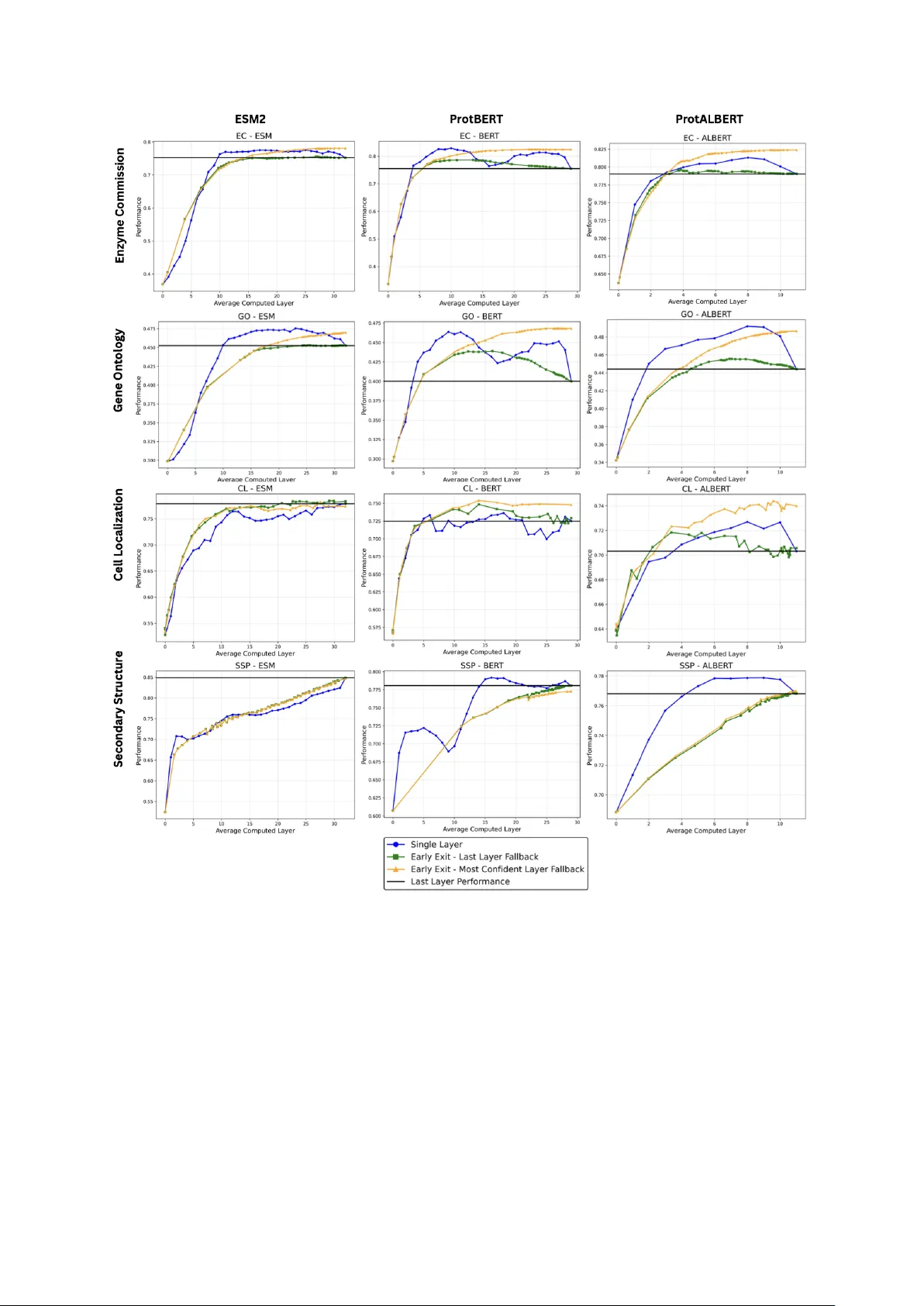Protein Language Models Diverge from Natural Language: Comparative Analysis and Improved Inference