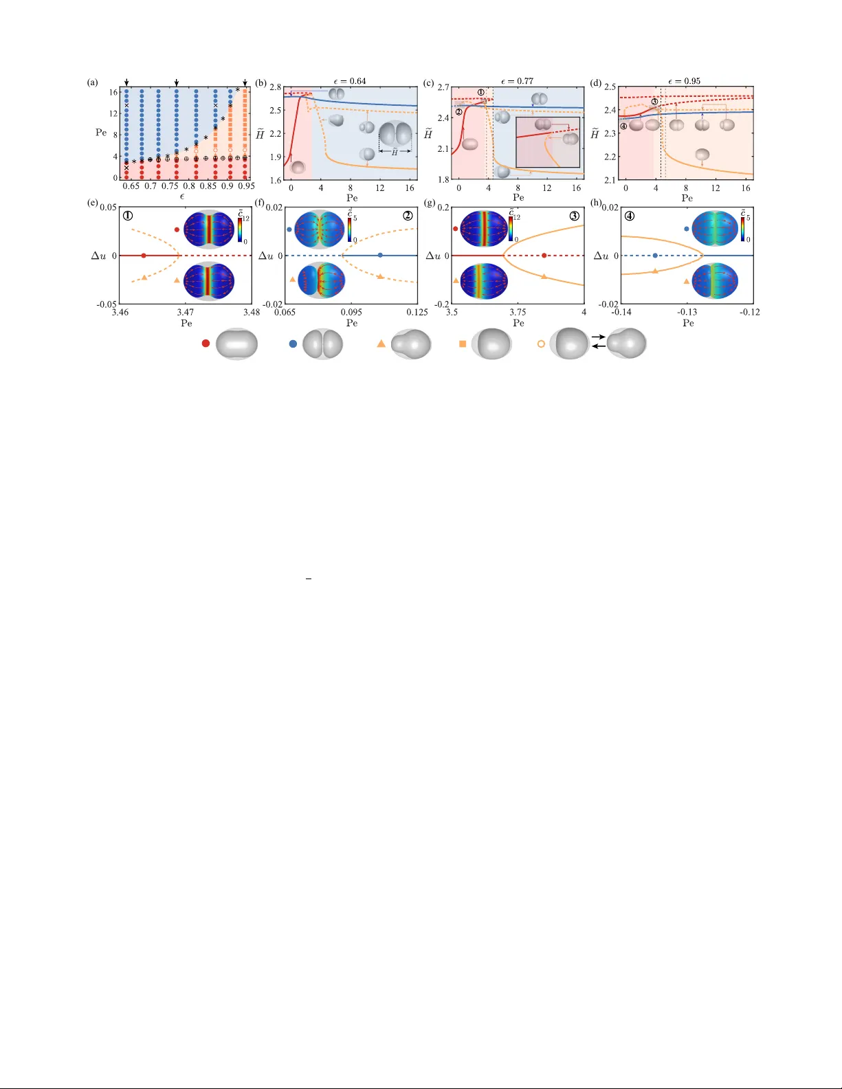 Confinement-Induced Symmetry Breaking of Active Surfaces