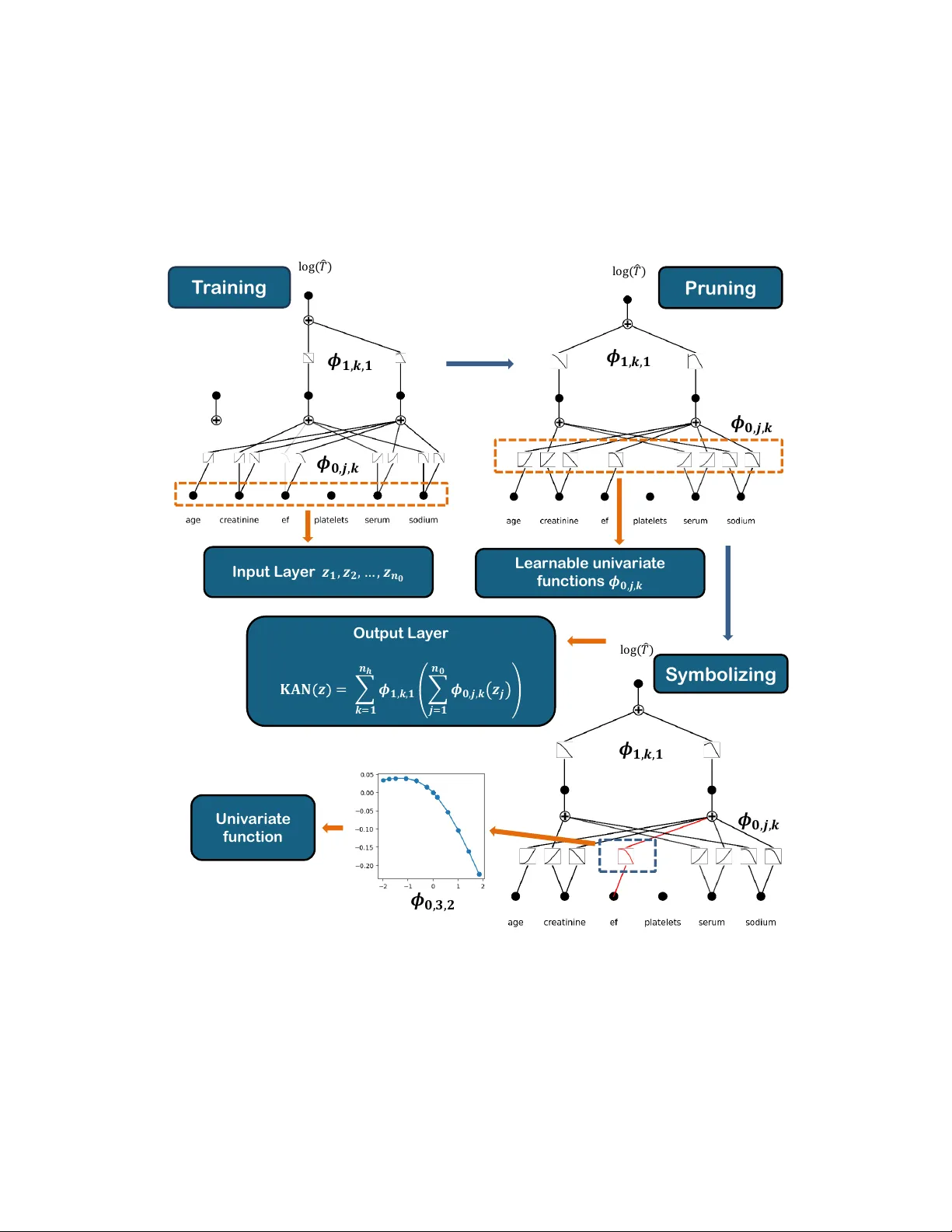 A Structured Nonparametric Framework for Nonlinear Accelerated Failure Time Models (KAN-AFT)