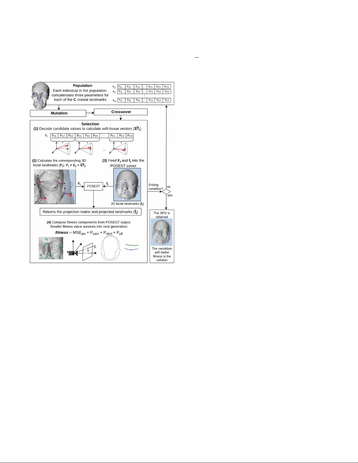A Novel Evolutionary Method for Automated Skull-Face Overlay in Computer-Aided Craniofacial Superimposition
