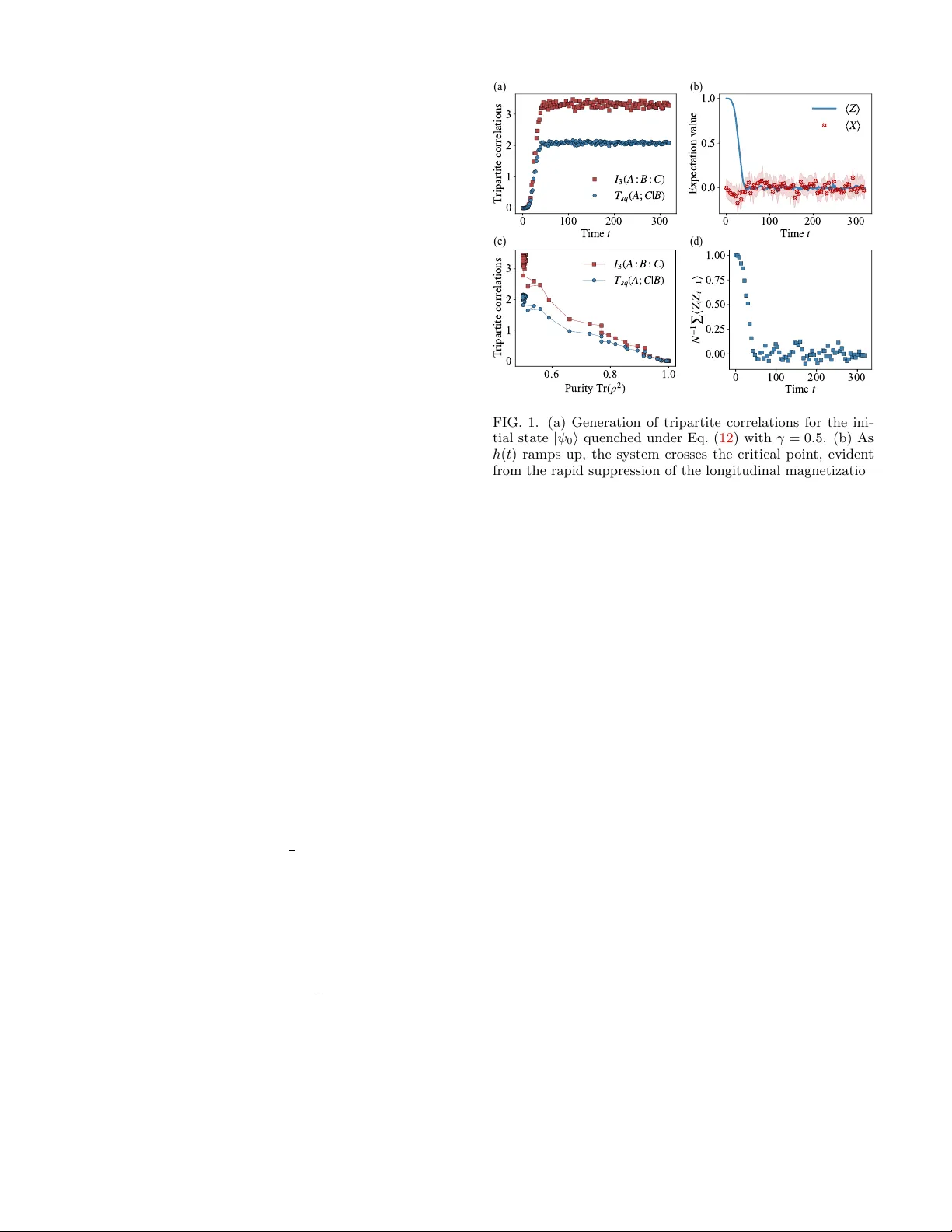 Hysteretic squashed entanglement in many-body quantum systems
