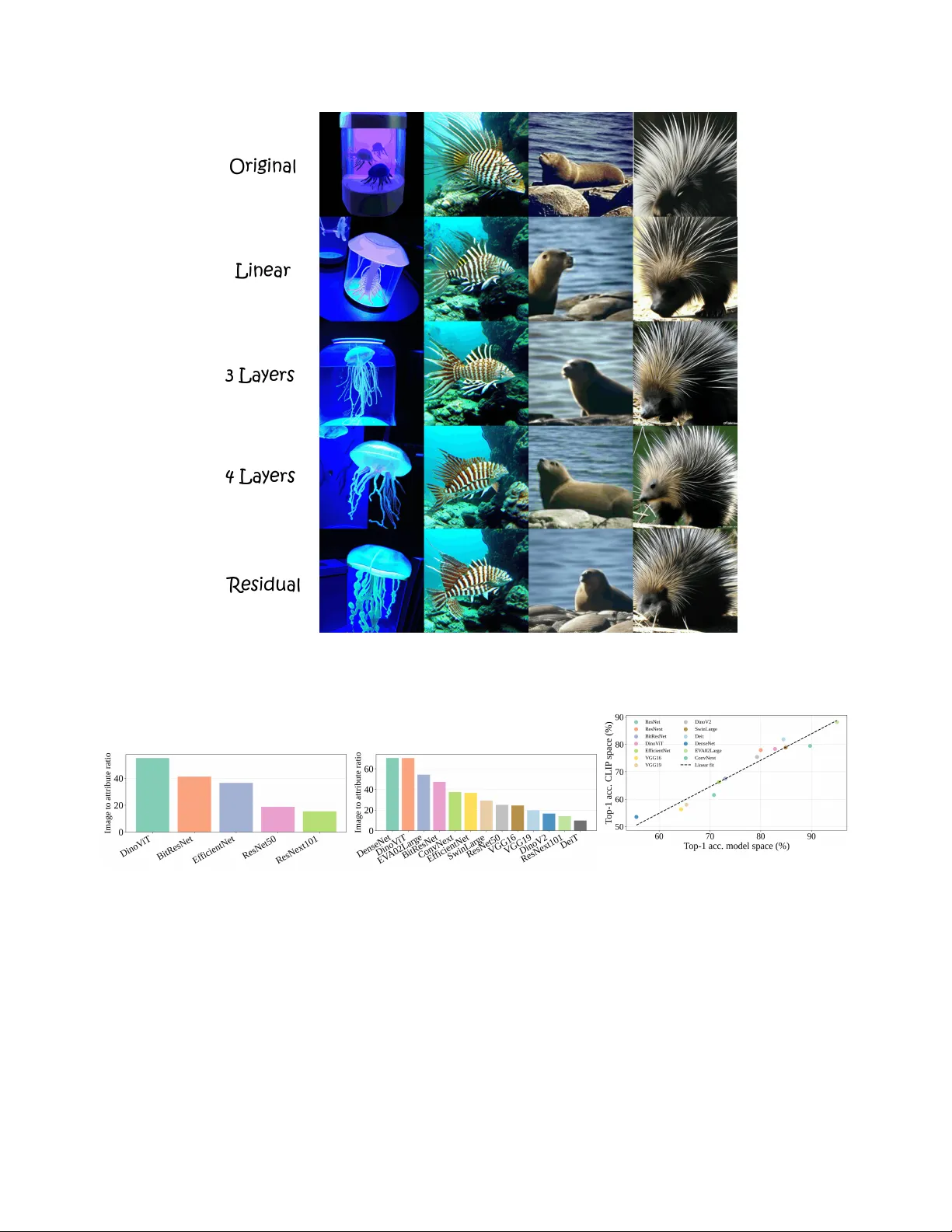 Make it SING: Analyzing Semantic Invariants in Classifiers