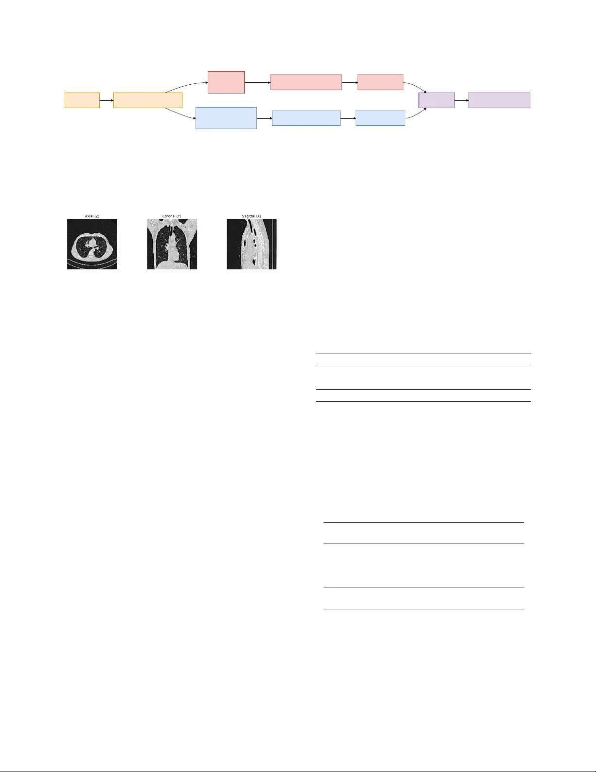 Halfway to 3D: Ensembling 2.5D and 3D Models for Robust COVID-19 CT Diagnosis