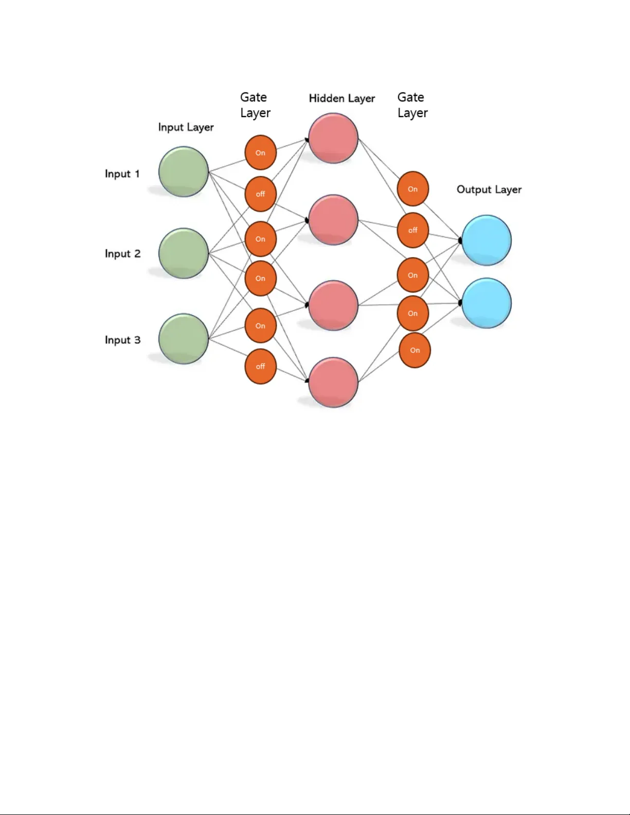DynamicGate MLP Conditional Computation via Learned Structural Dropout and Input Dependent Gating for Functional Plasticity