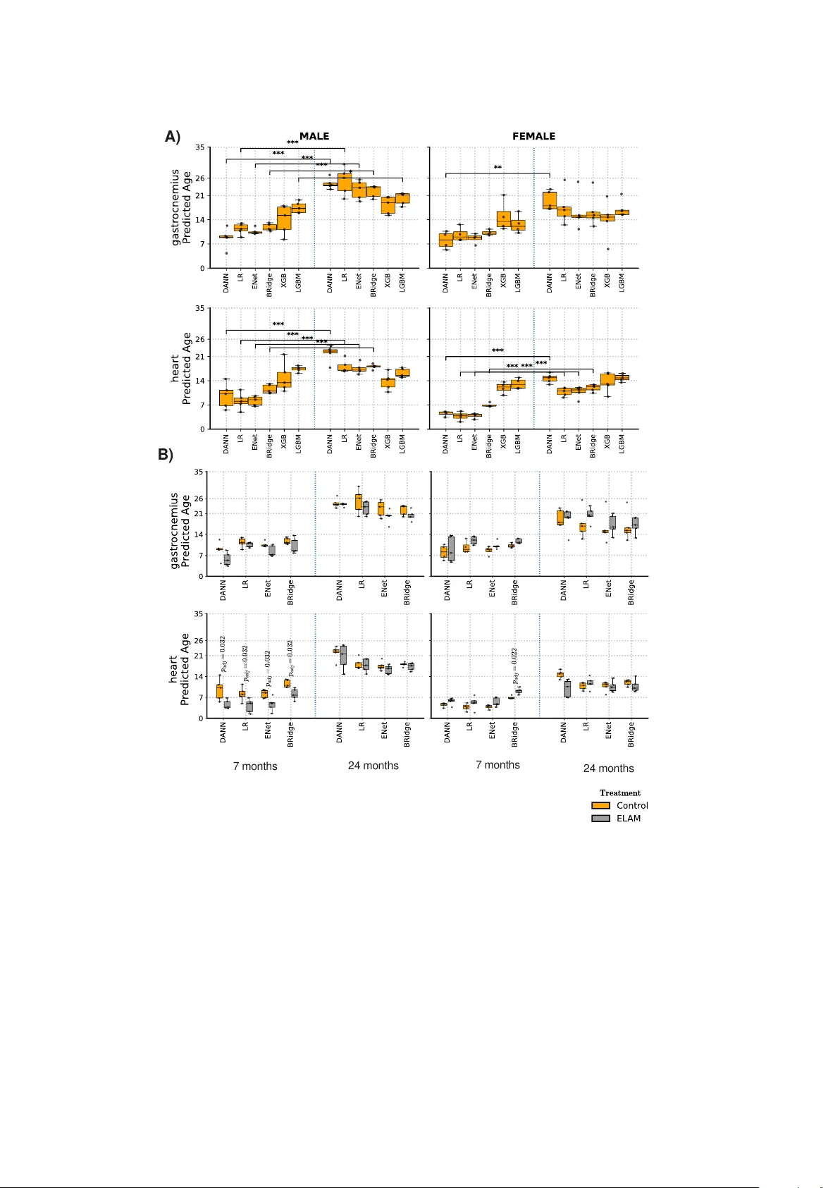 Age Predictors Through the Lens of Generalization, Bias Mitigation, and Interpretability: Reflections on Causal Implications