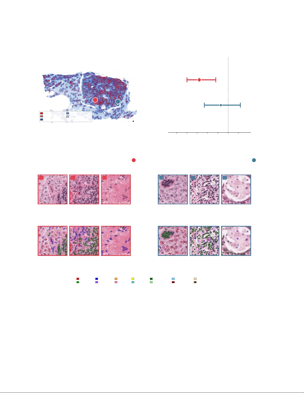 HistoAtlas: A Pan-Cancer Morphology Atlas Linking Histomics to Molecular Programs and Clinical Outcomes