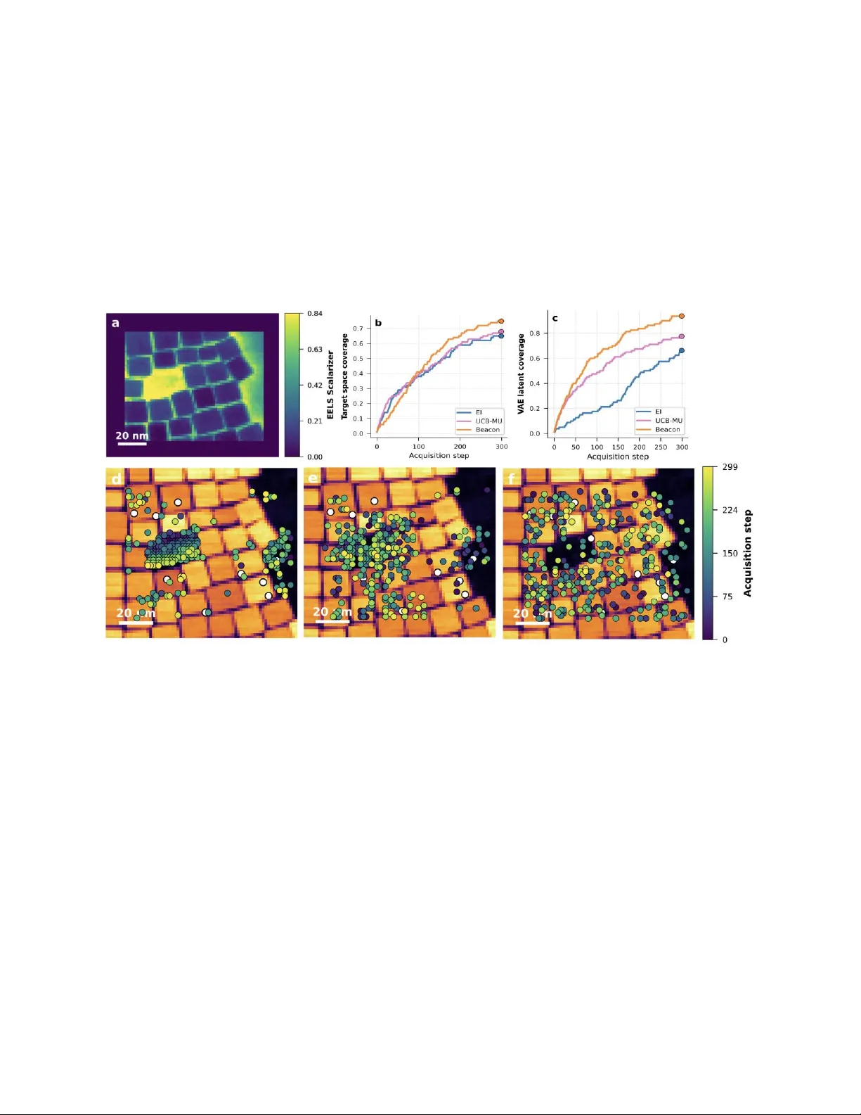 Novelty-Driven Target-Space Discovery in Automated Electron and Scanning Probe Microscopy