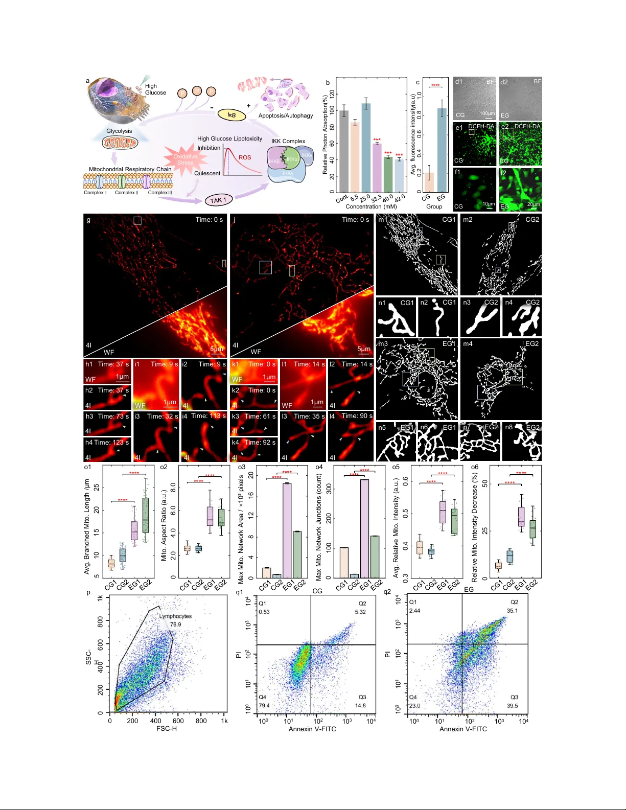 Simultaneous super-resolution and optical sectioning with four-beam interference structured illumination microscopy (4I-SIM)
