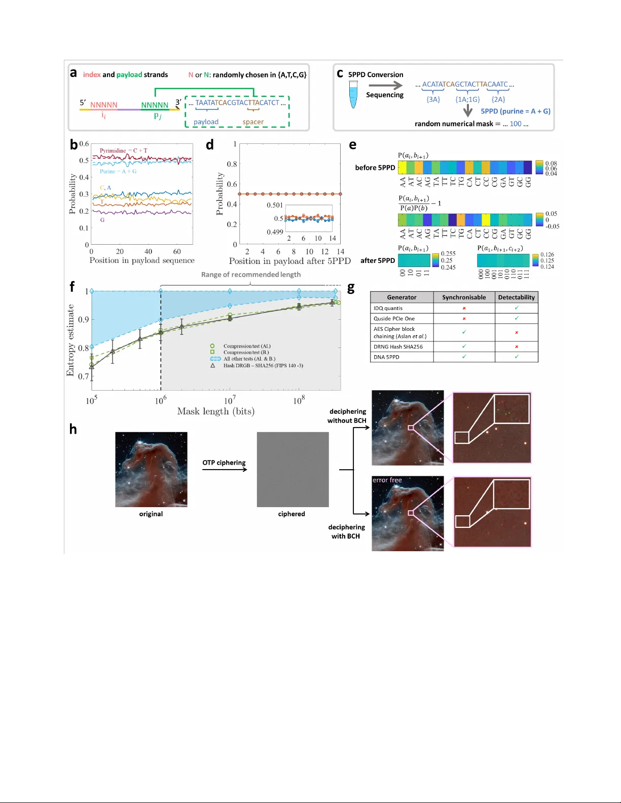Synchronized DNA sources for unconditionally secure cryptography