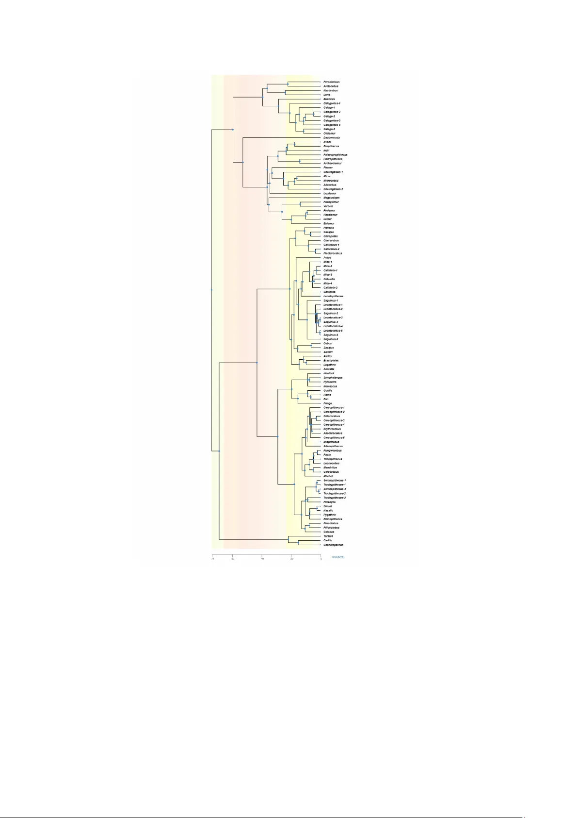 Spectral Geometry and Heat Kernels on Phylogenetic Trees