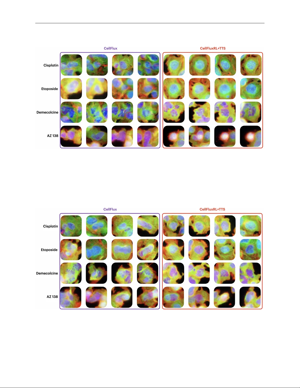 CellFluxRL: Biologically-Constrained Virtual Cell Modeling via Reinforcement Learning