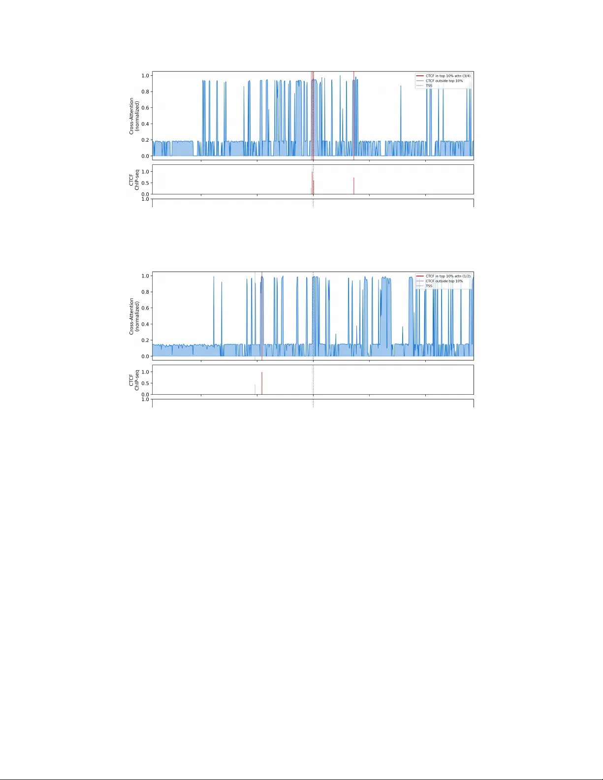 Central Dogma Transformer III: Interpretable AI Across DNA, RNA, and Protein