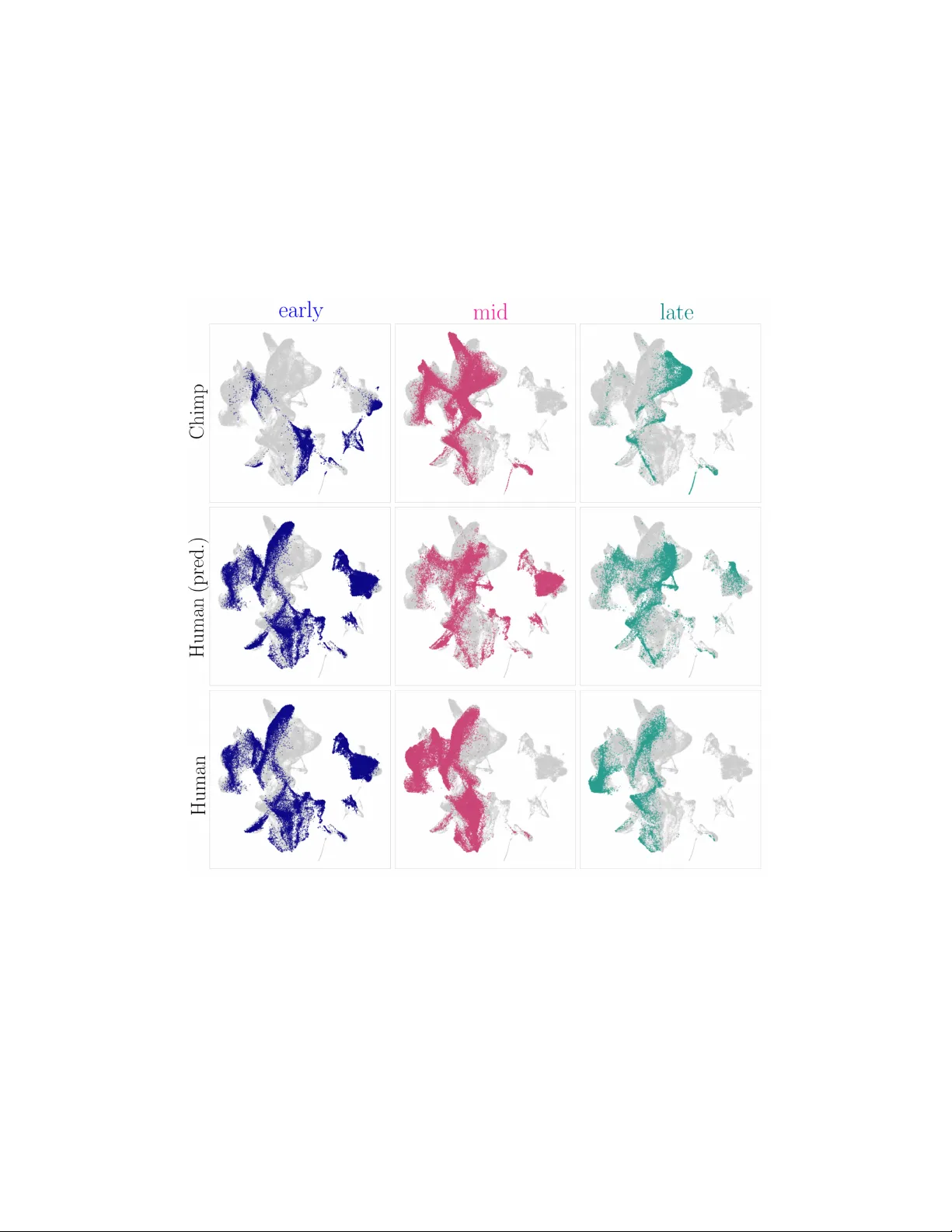 Wasserstein Parallel Transport for Predicting the Dynamics of Statistical Systems