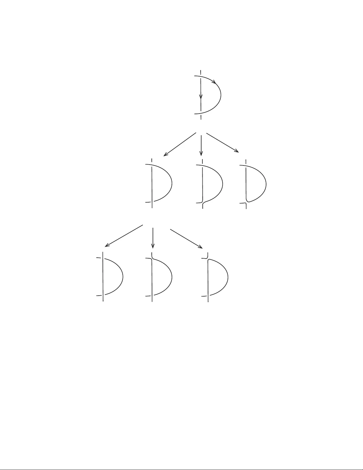B-type coefficient polynomial